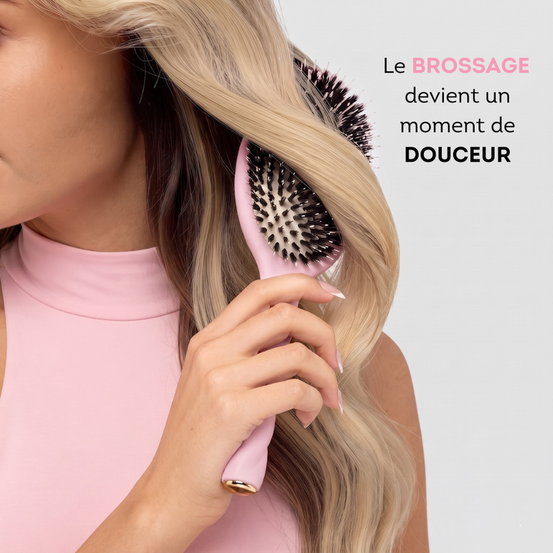 Brosse Démêlante Shiny Glam